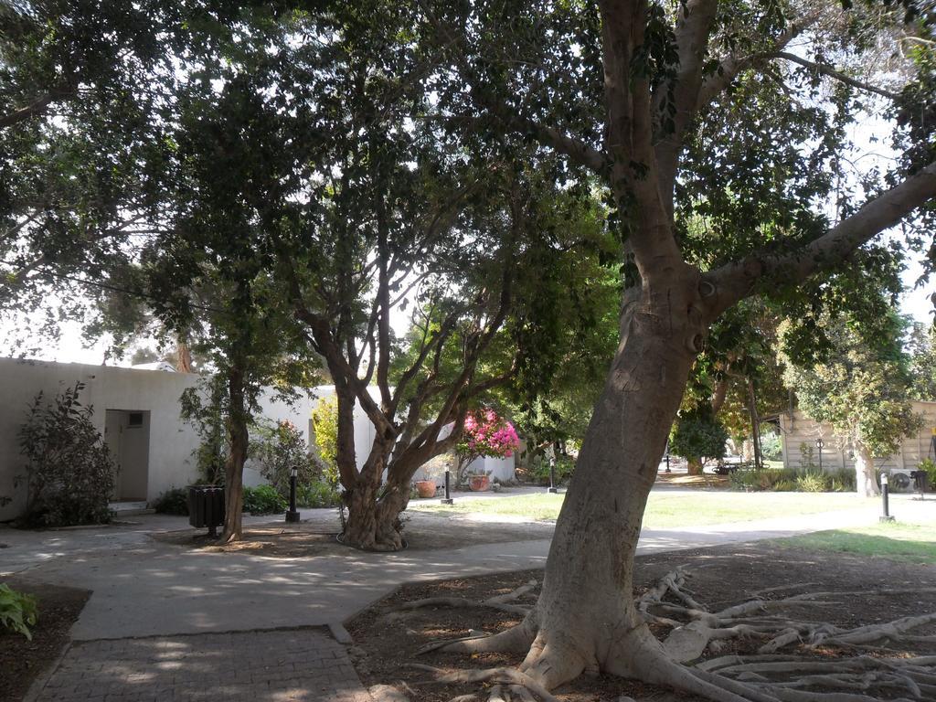 Almog Kibbutz Hotel ภายนอก รูปภาพ