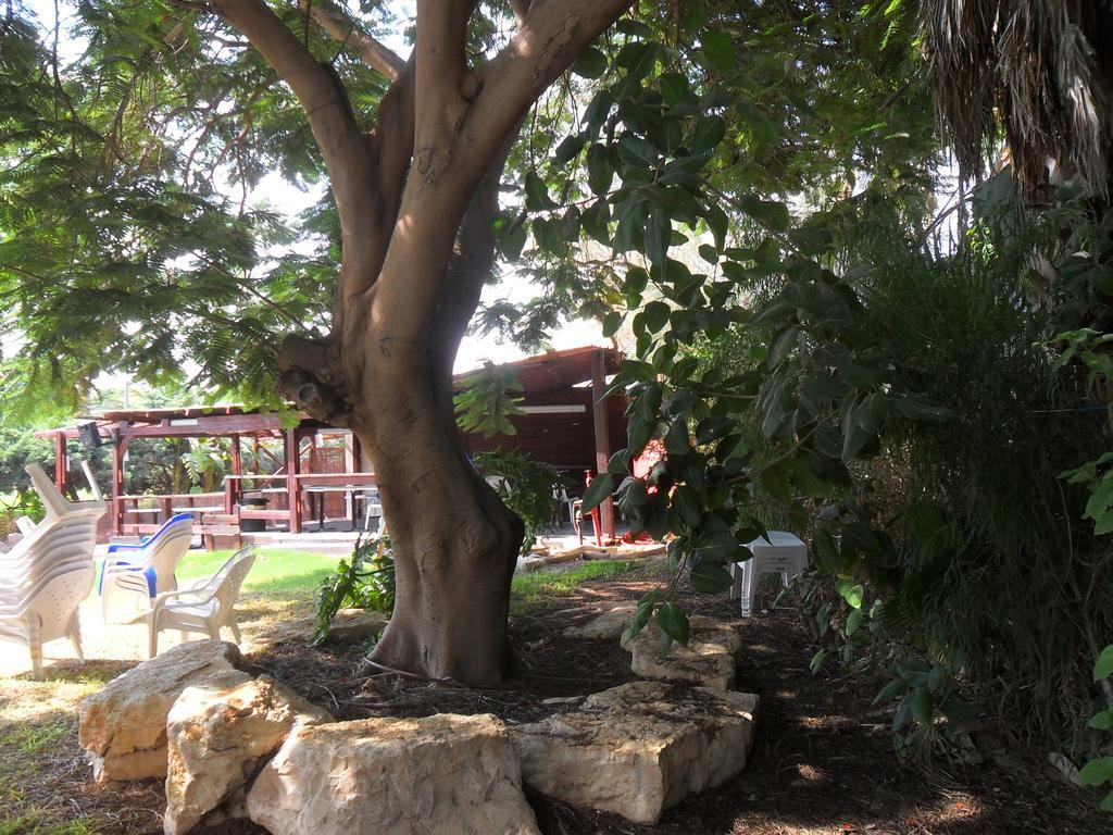 Almog Kibbutz Hotel ภายนอก รูปภาพ